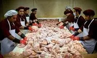 سوسیس و کالباس اینگونه تولید می شود