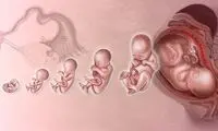 فرصت بینظیر ذخیره سرمایه سلامتی فرزندان
