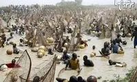 یک جشنواره ماهیگیری عجیب در نیجریه