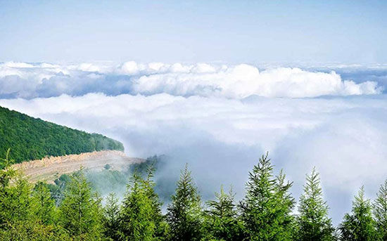 پاییز گردی رویایی در جنگلی بر فراز ابر ها