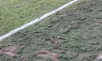 آغاز خط‌کشی دوباره چمن در فولاد آره‌نا