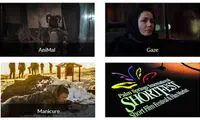 ۳ فیلم ایرانی در جشنواره‌ی «پالم اسپرینگز»