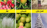 چرا هند کشور منحصربه‌فردی است؟