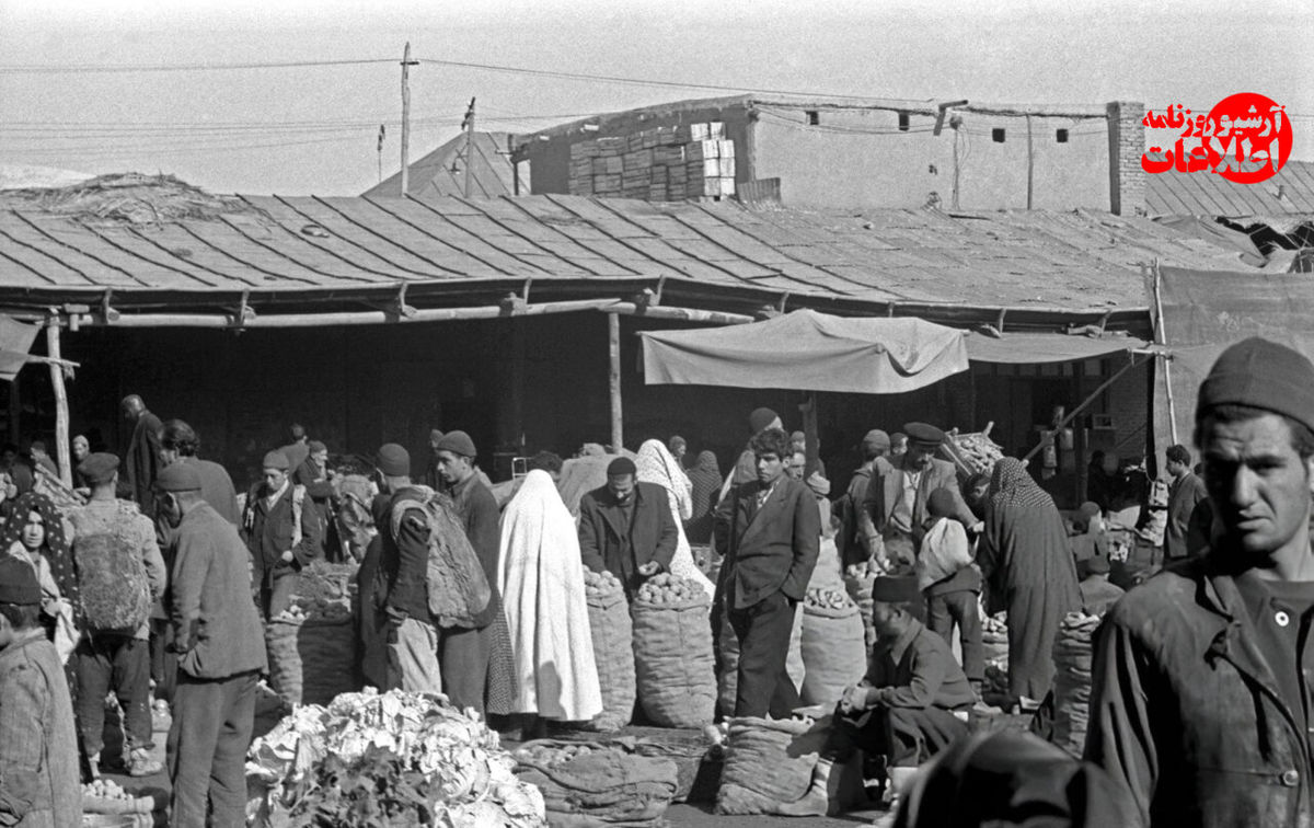 مرد تهرانی بخاطر حمله شپشها کشته شد!