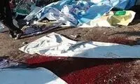 آثار باقی مانده از ترکش‌های ساچمه‌ای در کرمان