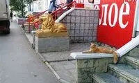 وقتی واقعیت از هنر تقلید می کند!