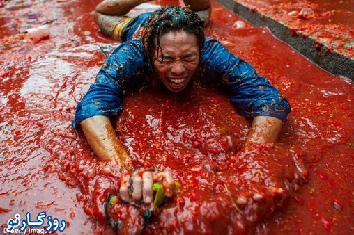 تصاویر: جشن گوجه فرنگی در اسپانیا!
