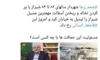 یاشار سلطانی: مسیل شیراز را تبدیل به خیابان کردند