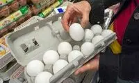 تخم‌مرغ در جنوب کشور کمیاب شد