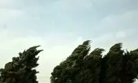 وزش باد شدید و بارش پراکنده باران در تهران