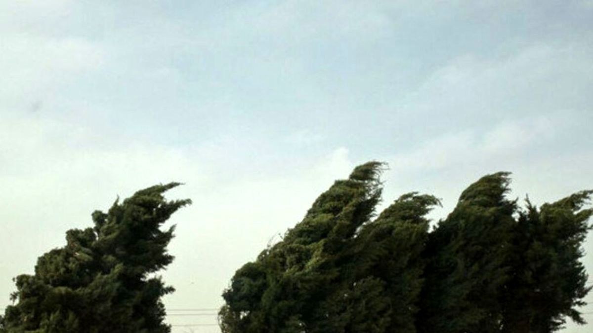 وزش باد شدید و بارش پراکنده باران در تهران