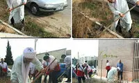 بیل‌زنی امام جمعه اردبیل برای زیباسازی شهر