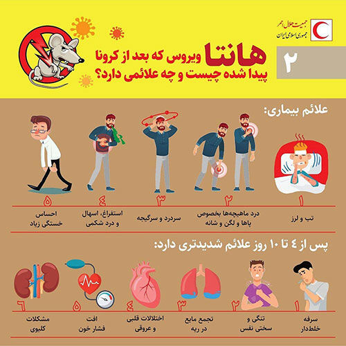 هانتا ویروس که بعد از کرونا پیدا شده چیست؟