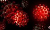 تمام ذرات کرونای جهان در یک قوطی نوشابه!