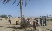 تصاویری از زیبایی غیرقابل وصف تک درخت «دَرَک»
