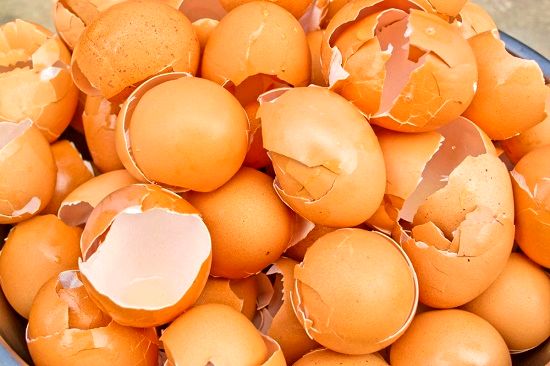 ۸ دلیلی که نباید پوست تخم‌مرغ را دور بیندازیم