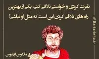 هایلایت (327)