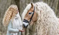 هر دختری به مو‌های این اسب حسادت می‌کند!