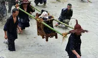 روز عجیب برای سگ‌ها در چین