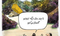 کارتون؛ اینم از فواید گرانی!