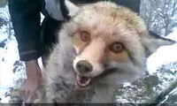 91 روز زندان برای عامل کشتار بی رحمانه