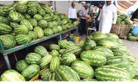 گرانی عجیب؛ هندوانه به قیمت امارات!