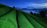 تصاویری شگفت انگیز از دنیای زیبا (74)