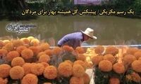 آماده‌باش مردم مکزیک برای مراسم روز مردگان