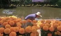 آماده‌باش مردم مکزیک برای مراسم روز مردگان