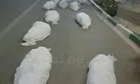 جنازه‌هایی که داد مردم تهران را درآوردند!