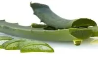 یک درمان طبیعی و مفید برای آفتاب سوختگی