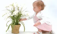 مسمومیت با گیاهان چه علائمی دارد؟