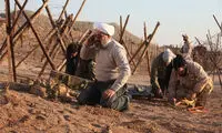 برزو ارجمند؛ هم روحاني، هم پليس!