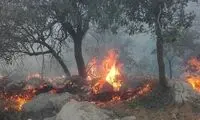 حبس و مجازات نقدی برای آتش‌افروزان در جنگل
