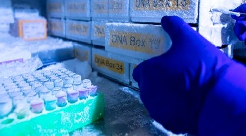 امکان نگهداری واکسن در منهای ۷۰درجه در ایران