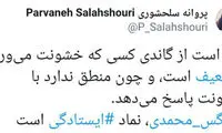 توئیت پروانه سلحشوری درباره نرگس محمدی