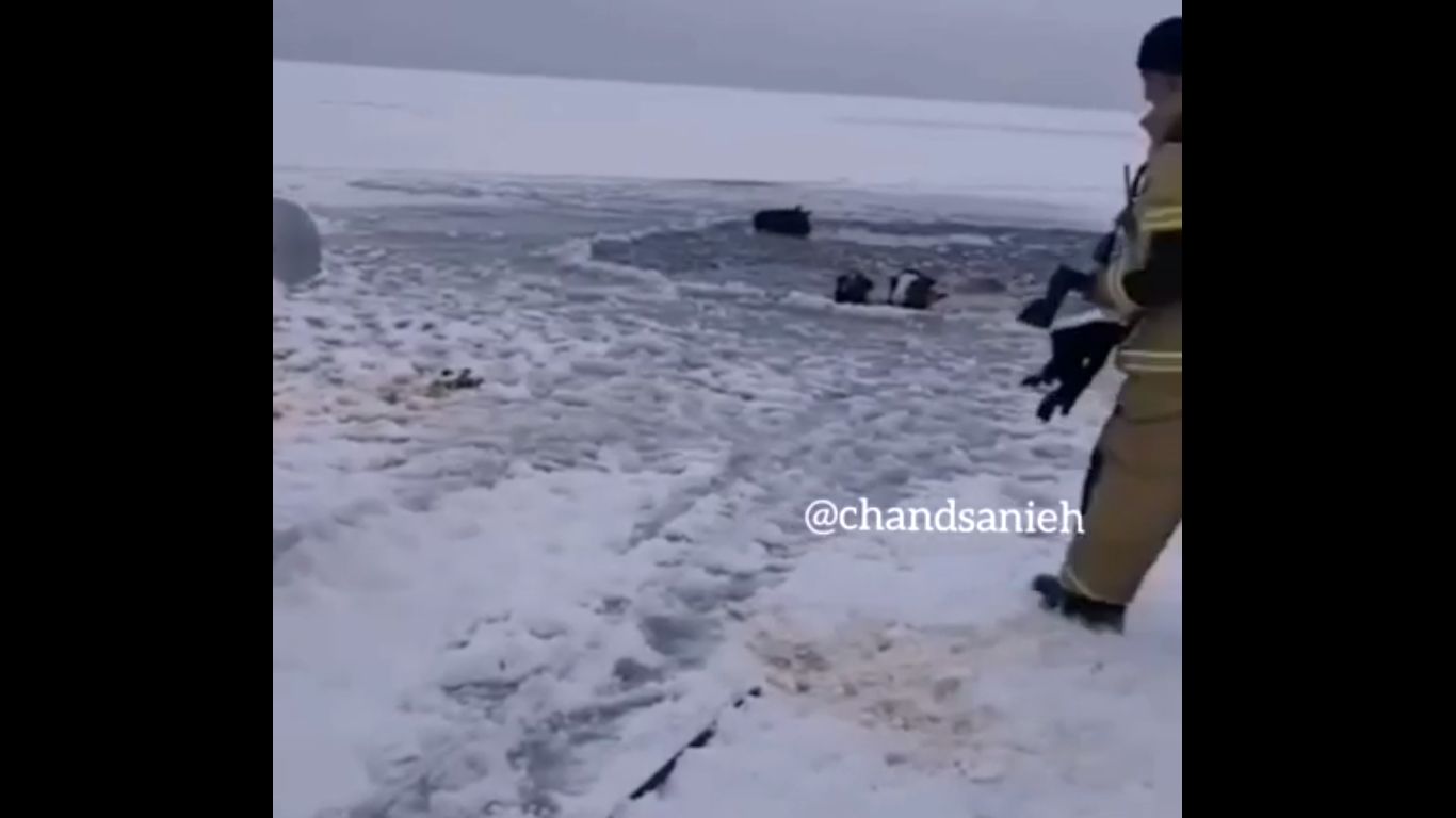 تصاویری تلخ از گرفتار شدن چند اسب در میان دریاچه‌ای از یخ!