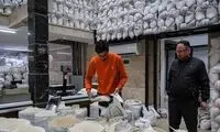 ارز ترجیحی برنج خارجی حذف شد