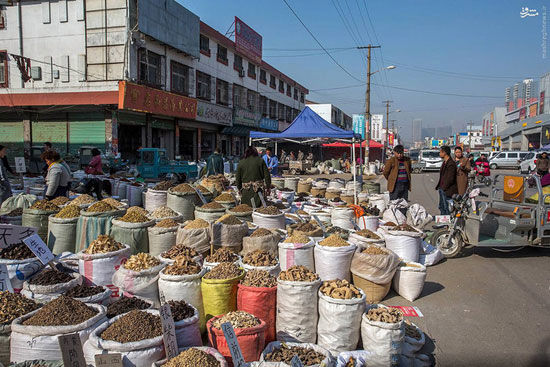 عکس: بزرگترین بازار طب سنتی جهان