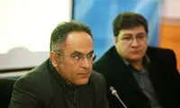 سیمین فمنیست نبود