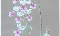 تصاویری از نقاشی‌های «آدلف هیتلر»