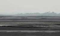 مردی که به تنهایی یک جنگل ساخته است