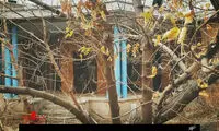 ساخت و ساز در خانه نیما یوشیج انجام نمی شود