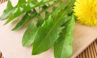 ۵ روش خانگی برای تشخیص بارداری