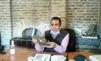 کشف جام ۹۰۰ساله در رباط‌ کریم