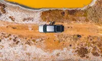 پرندگان دنیا را چگونه می‌بینند؟