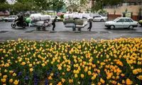 عکس: محله هرندی