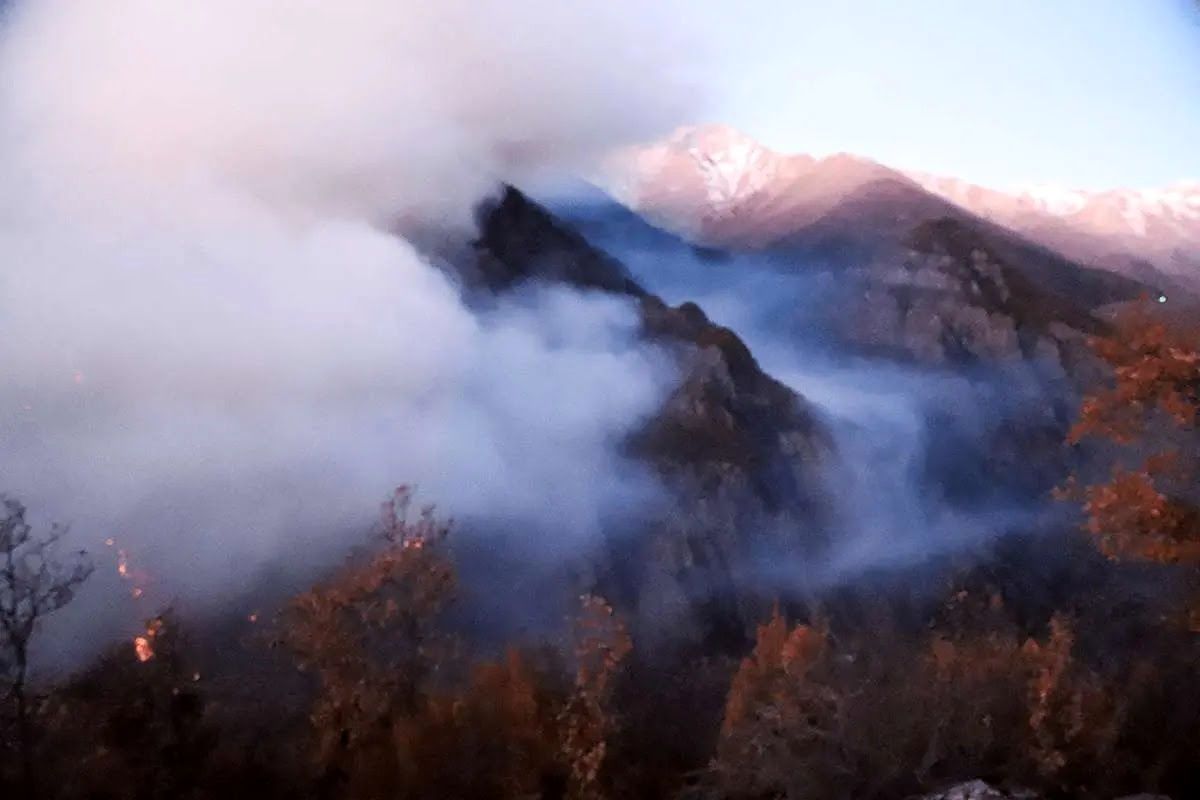 اولین تصاویر از حجم خسارت آتش‌سوزی جنگل‌های الیت