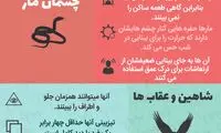 اینفوگرافی: چشم‌های مختلف برای گونه‌های مختلف