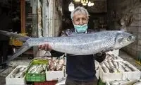 ماهی‌های شب عید در خیابان‌های تهران
